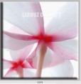 /album/photo-gallery-canvas-uri/decoratiuni-de-perete-canvas-lc-0005-jpg/